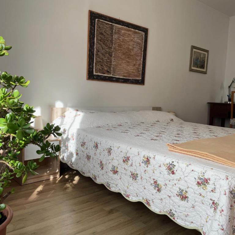 MiniLevico - Appartement 1 Chambre - 1
