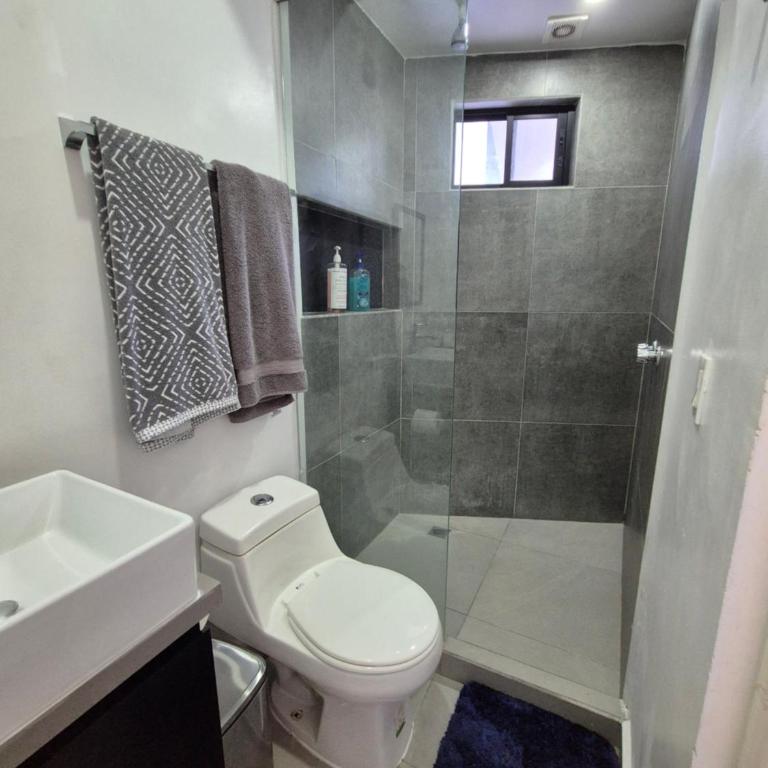 Cómodo y moderno loft Tec de Mty - One-Bedroom Apartment - 17