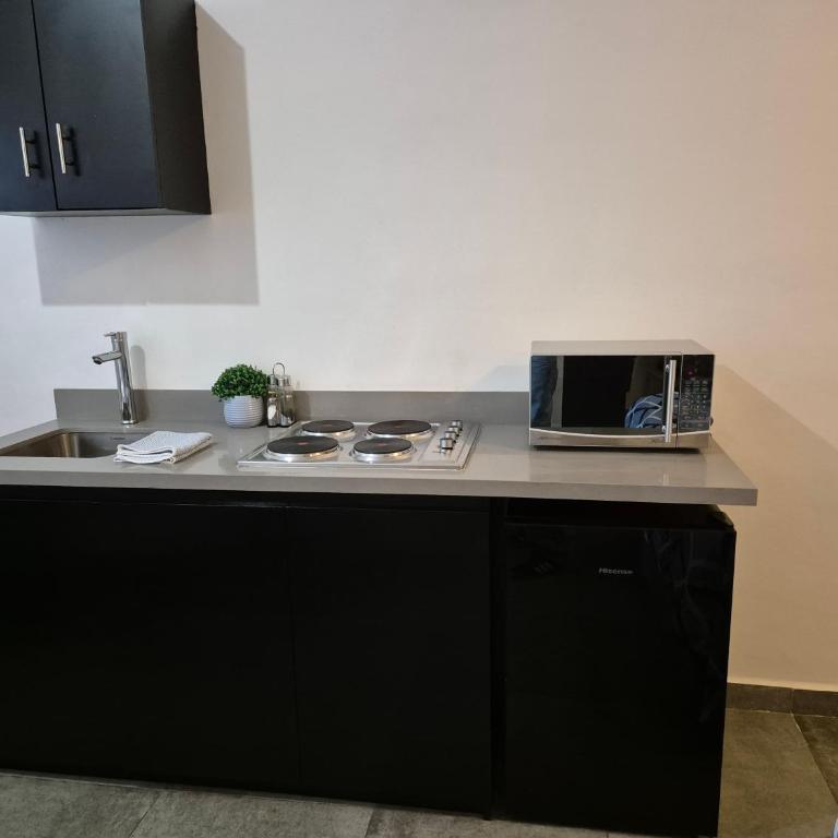 Cómodo y moderno loft Tec de Mty - One-Bedroom Apartment - 12