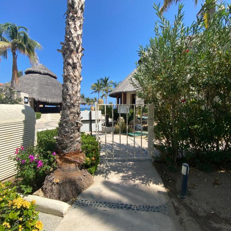 Beach front beautiful one bedroom Condo - Apartment with Balcony - 33
