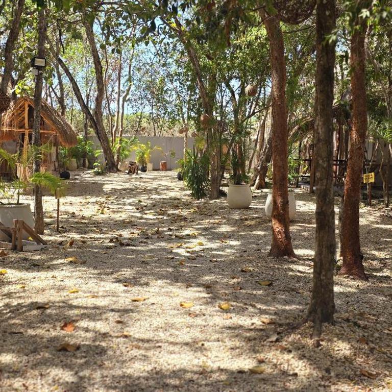 Hotel Kin Tulum Jungle Deluxe - Double Room with Spa Bath - 6