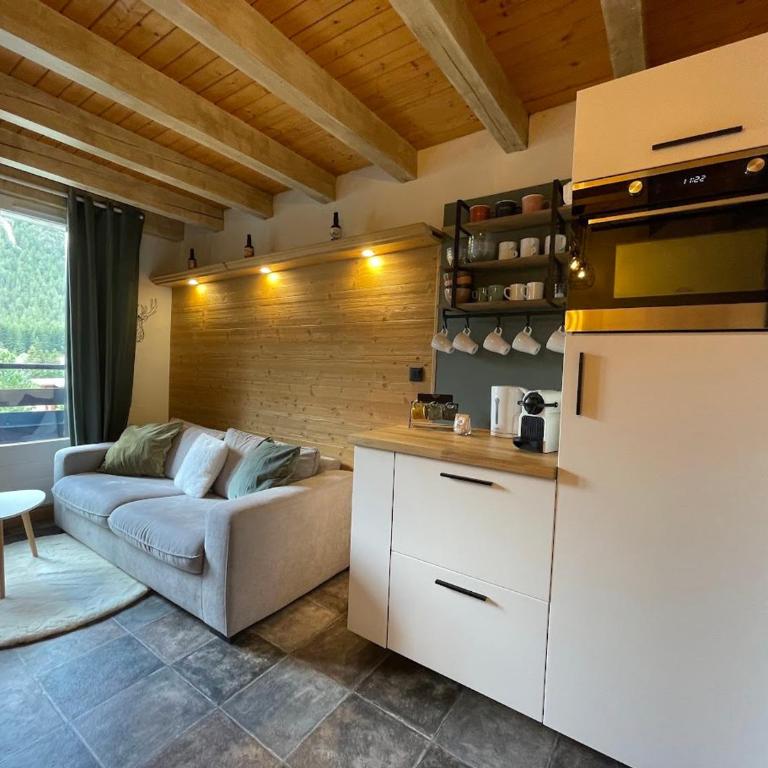 Charmant duplex rénové, terrasse sud, 2 chambres, près des commerces - FR-1-464-240 - Appartement - 1