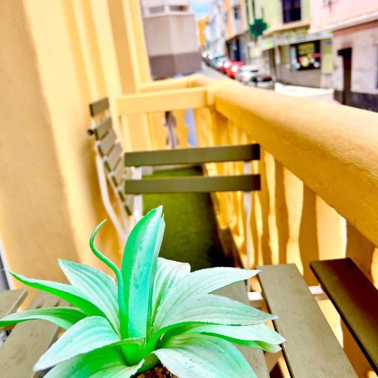 Cozy Refuge La Isleta - Apartamento - 21
