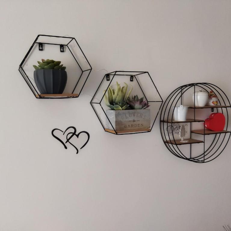 Fabio House Alloggio per uso Turistico - Appartamento con 1 Camera da Letto - 8