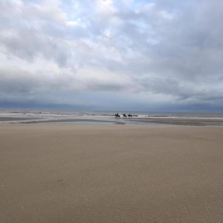 Charming 2BR Private garden, 5MinToBeach Deauville - Apartamento de 2 dormitorios - 14