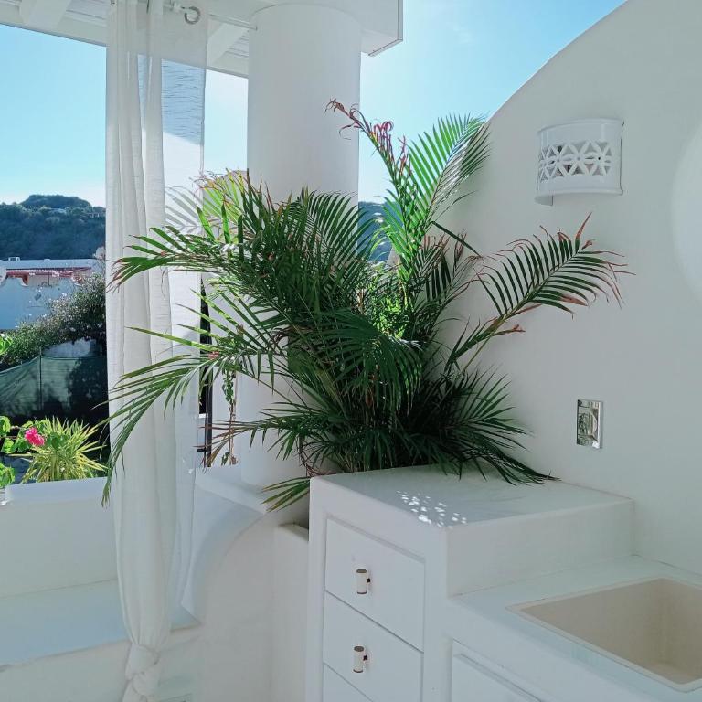 Sikelia elegant suite - Appartamento con 1 Camera da Letto - 24