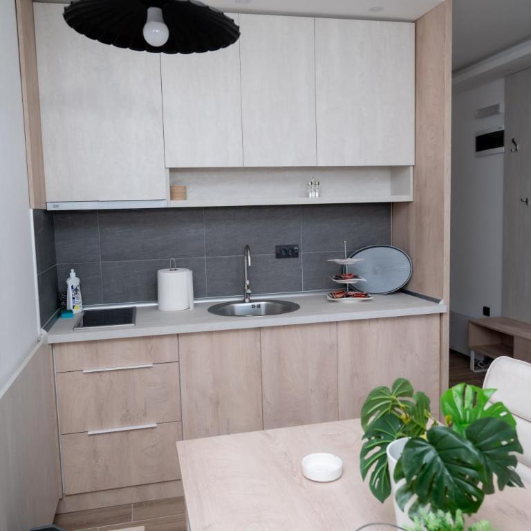 Residence Hill A037 Apartment - One-Bedroom Apartment - 4