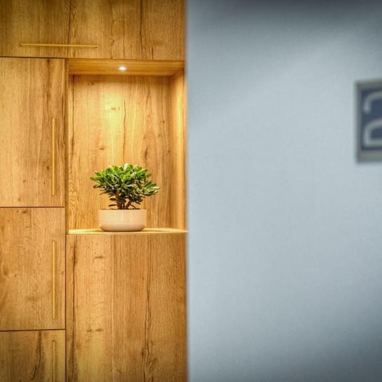 Appartement luxueux avec jacuzzi - Appartement 1 Chambre - 2
