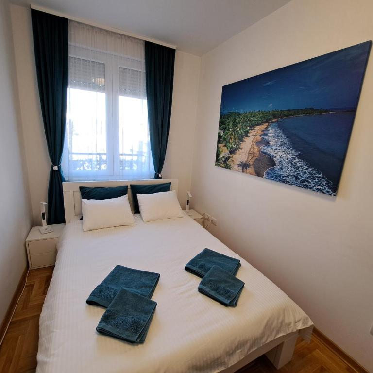 Plavi Paun Apartman - Apartman sa 1 Spavaćom Sobom - 3