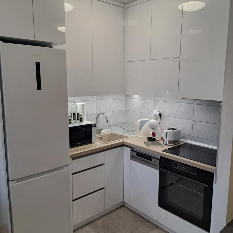 Plavi Paun Apartman - Apartman sa 1 Spavaćom Sobom - 11