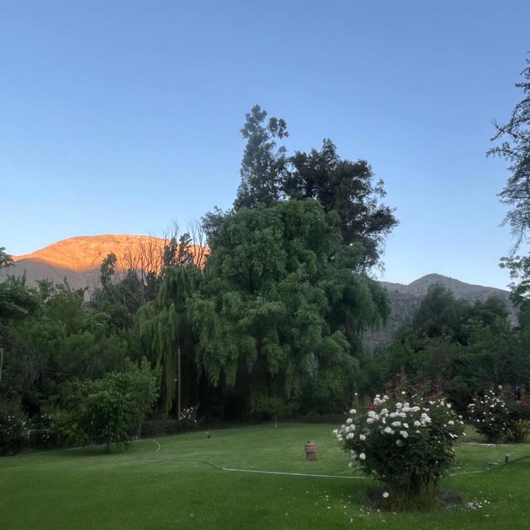 Campito Refugio - One-Bedroom Chalet - 4