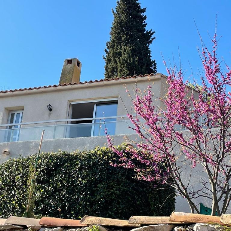 Sète, grande villa familiale avec Jacuzzi - Villa - 8