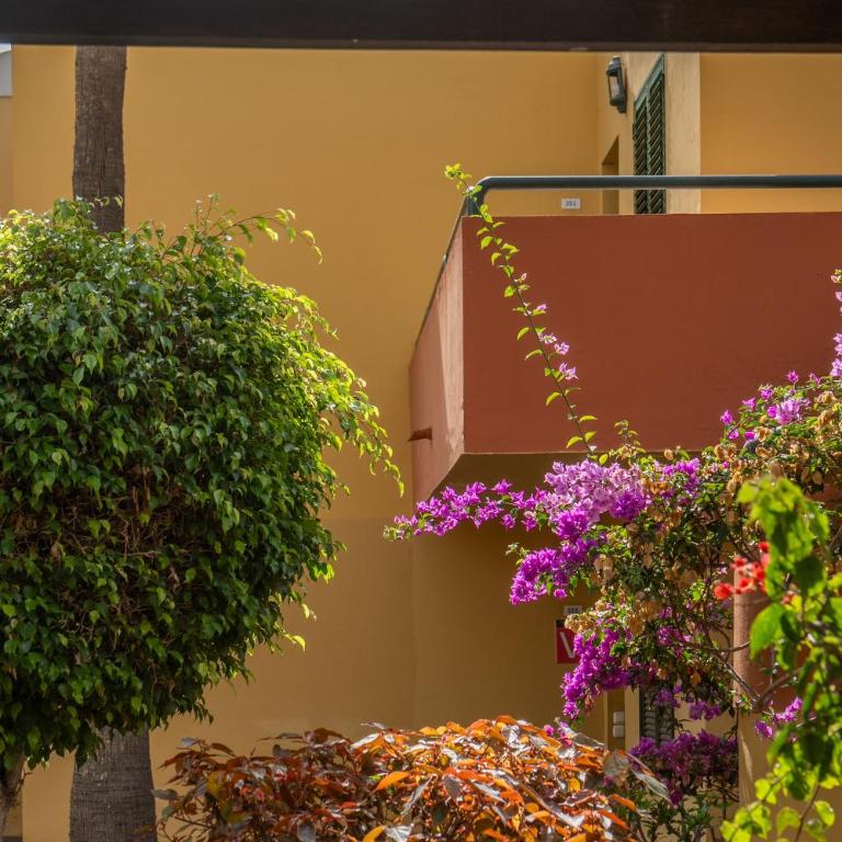 Casa Océano Atlantik Garden with aircon - Apartamento de 1 dormitorio con terraza - 29