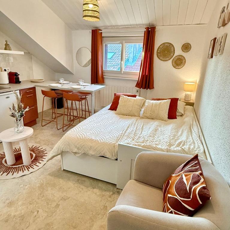 Confortable Studio centre-ville Thonon - Studio Duplex - 13