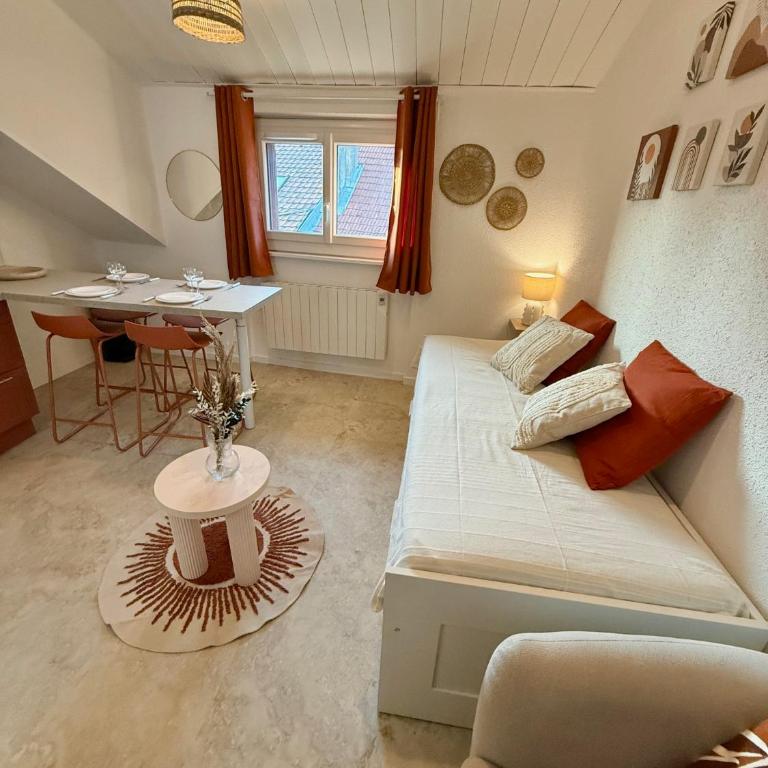 Confortable Studio centre-ville Thonon - Studio Duplex - 5