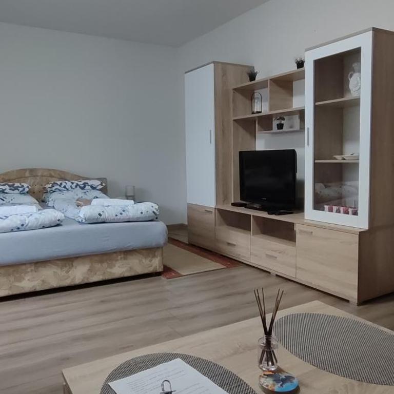 Apartment Hatinac - One-Bedroom Apartment - 4