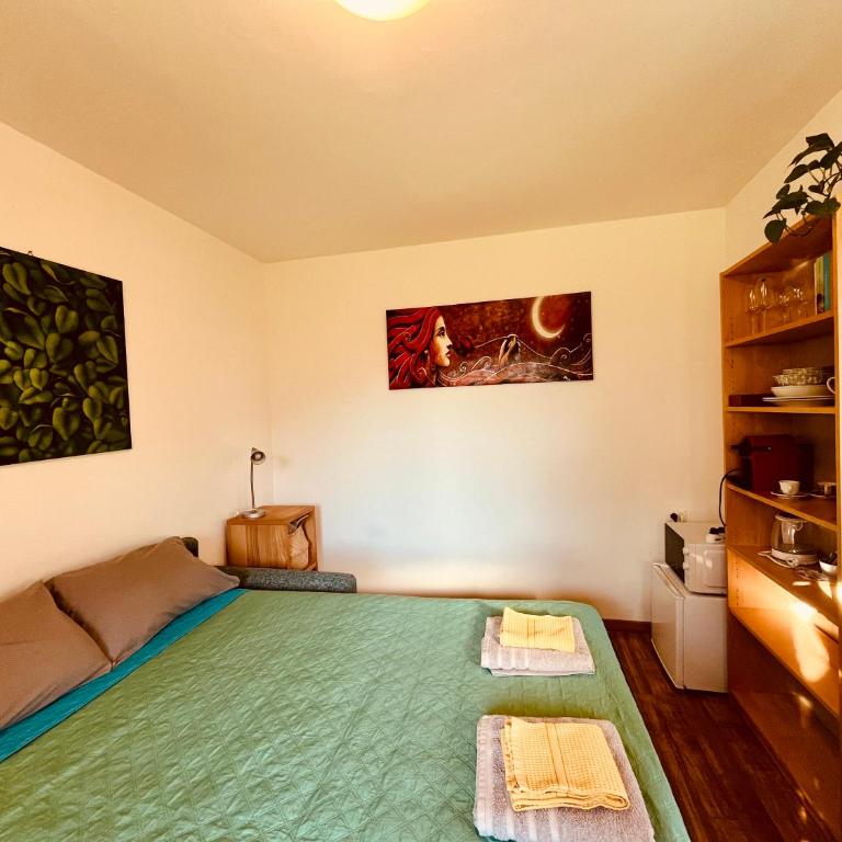 Residence Salvadori - Habitación Doble con baño privado - 12