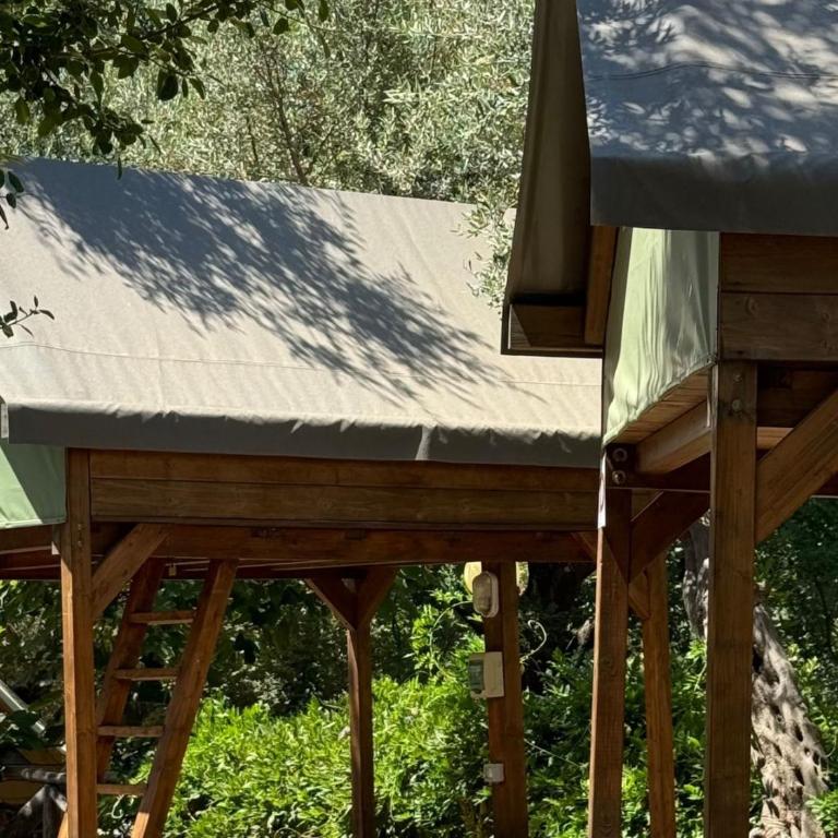 Hostel & Glamping Santa Fortunata - Rider Tent - 6