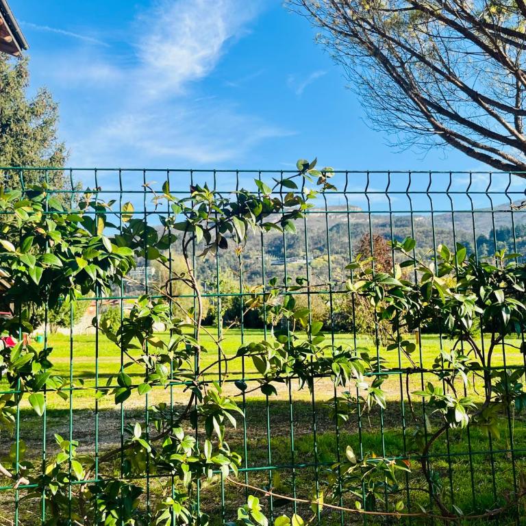 Residence Salvadori - Apartamento de 1 dormitorio - 7