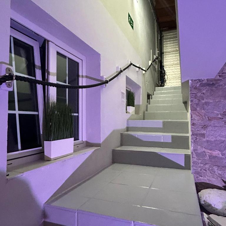 Basement apartments - One-Bedroom Apartment - 17