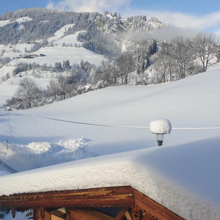 Panoramaplatzl - Chalet mit 2 Schlafzimmern - 34