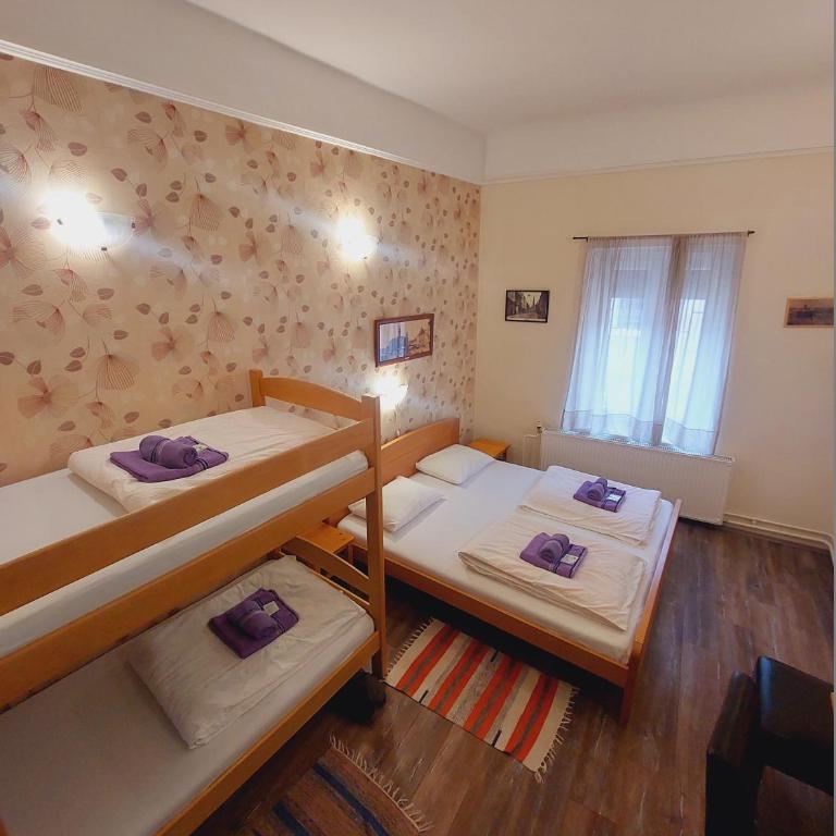 Smestaj Centar Novi Sad,Motorcycle Friendly - Četvorokrevetna Soba sa Sopstvenim Kupatilom - 6