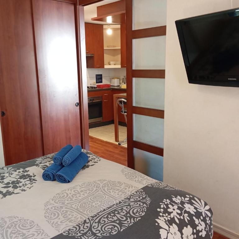 Departamento con encanto cerca de Bellas Artes y Lastarria - Apartamento de 1 dormitorio - 5