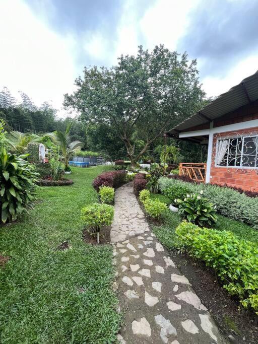 Finca Leito - Casa de 4 dormitorios - 41