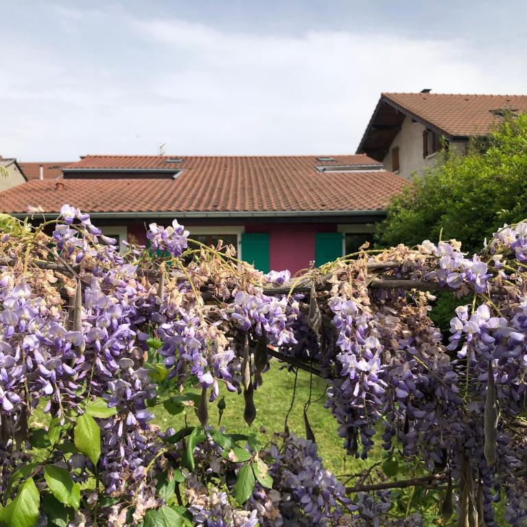 La Causeuse - Maison 1 Chambre - 9