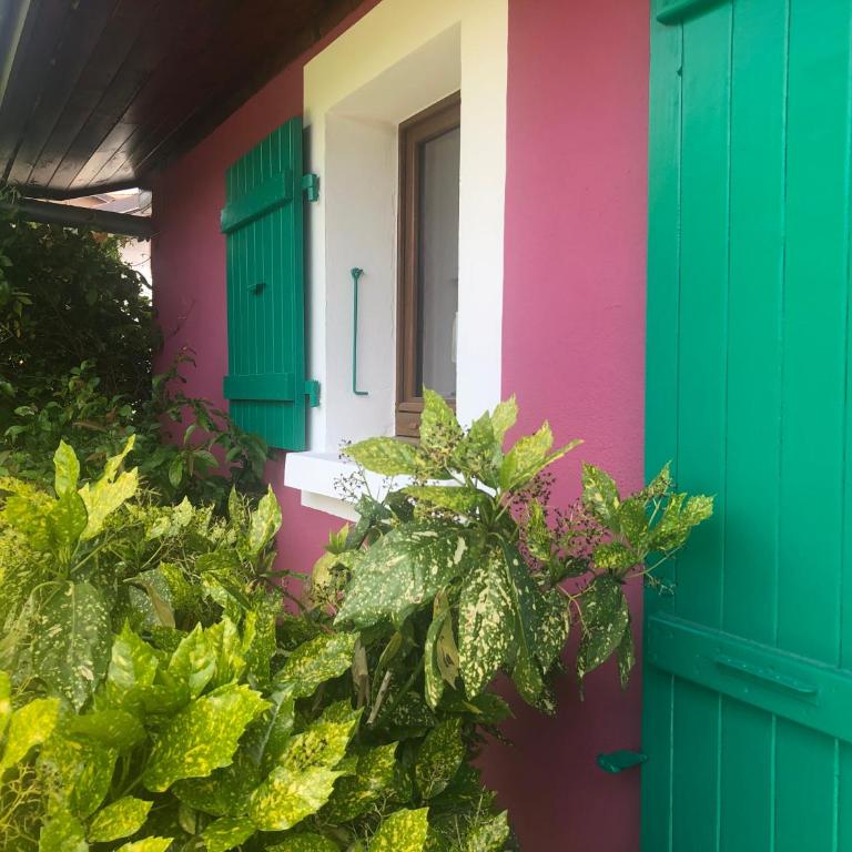 La Causeuse - Maison 1 Chambre - 18