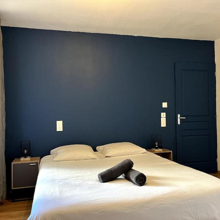 Suite Sanctuaire à Lourdes - Apartment mit 1 Schlafzimmer und Terrasse - 5