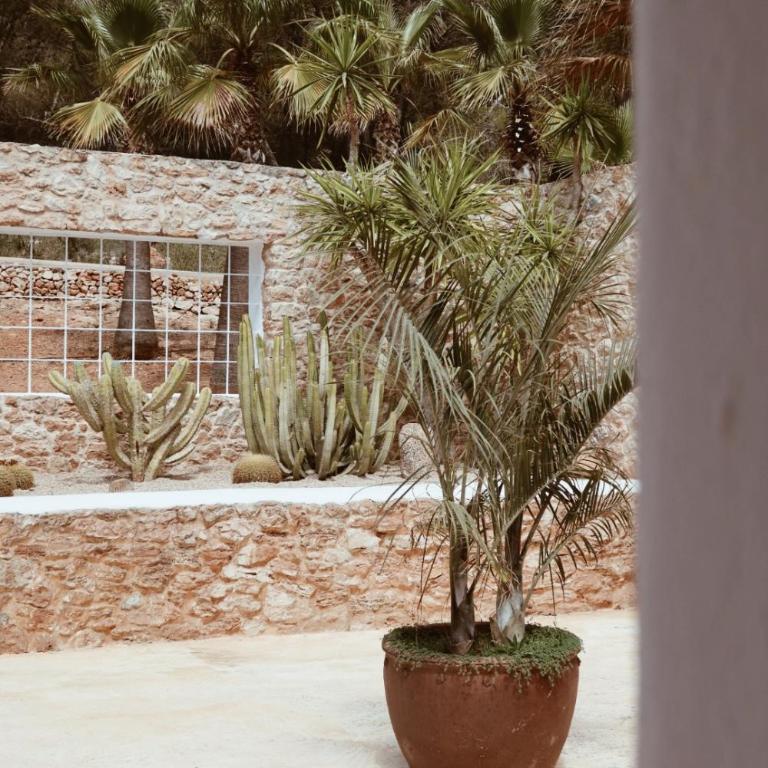 Pure House Ibiza - Habitación Doble con terraza - 1