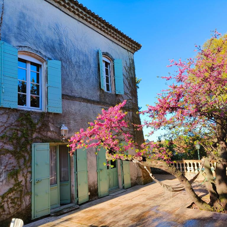 La Folie mas provençal climatisé avec piscine - Villa - 28