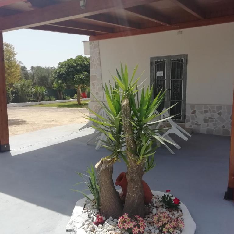 La casa di Melina - Casa Vacanze - 2