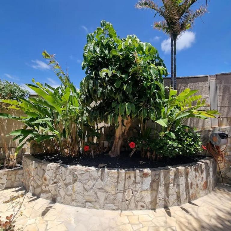 Villa Palma - Villa de 3 dormitorios - 2