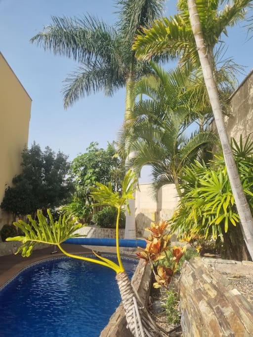 Villa Palma - Villa de 3 dormitorios - 20