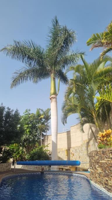 Villa Palma - Villa de 3 dormitorios - 27