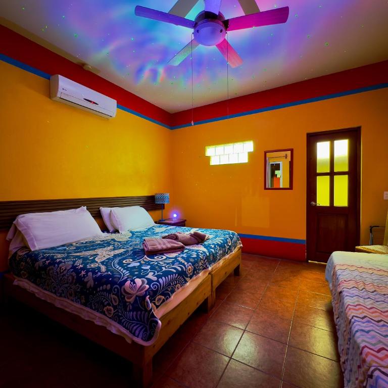 Casa Juarez B&B - Habitación Doble Estándar - 1 o 2 camas - 5