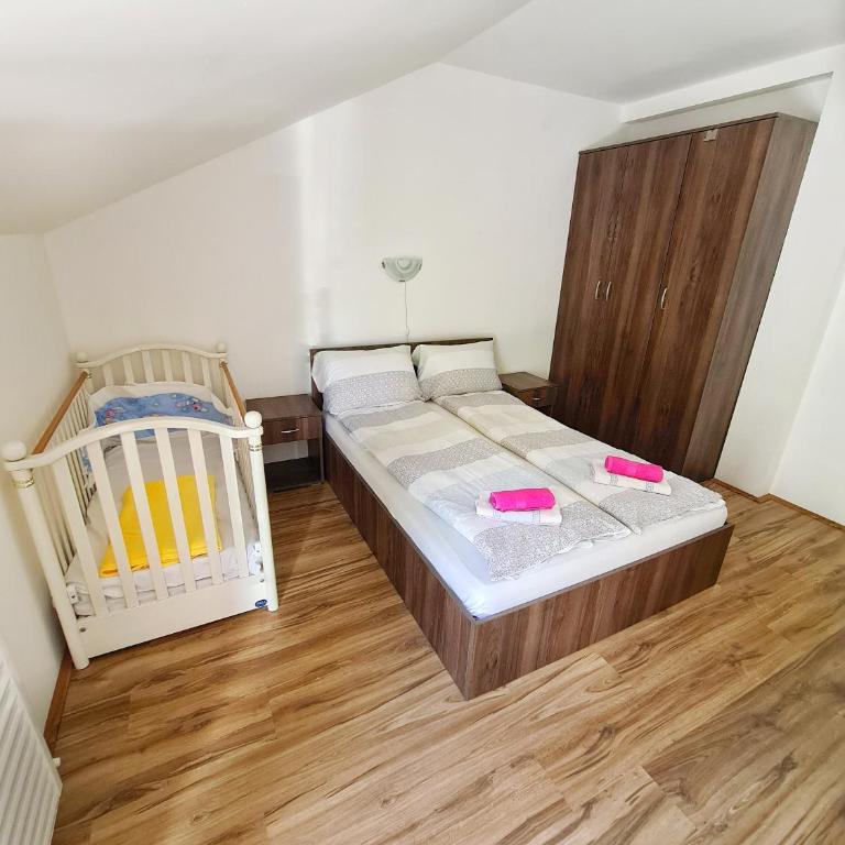 Maja V Apartmani Sokobanja - Apartman s 1 Spavaćom Sobom i Terasom - 12