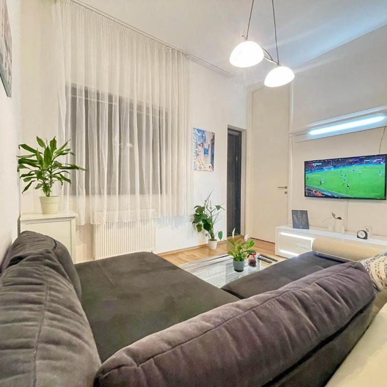 Apartman Centar Lujane - One-Bedroom Apartment - 5
