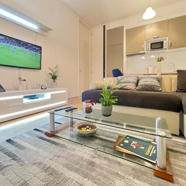 Apartman Centar Lujane - One-Bedroom Apartment - 11