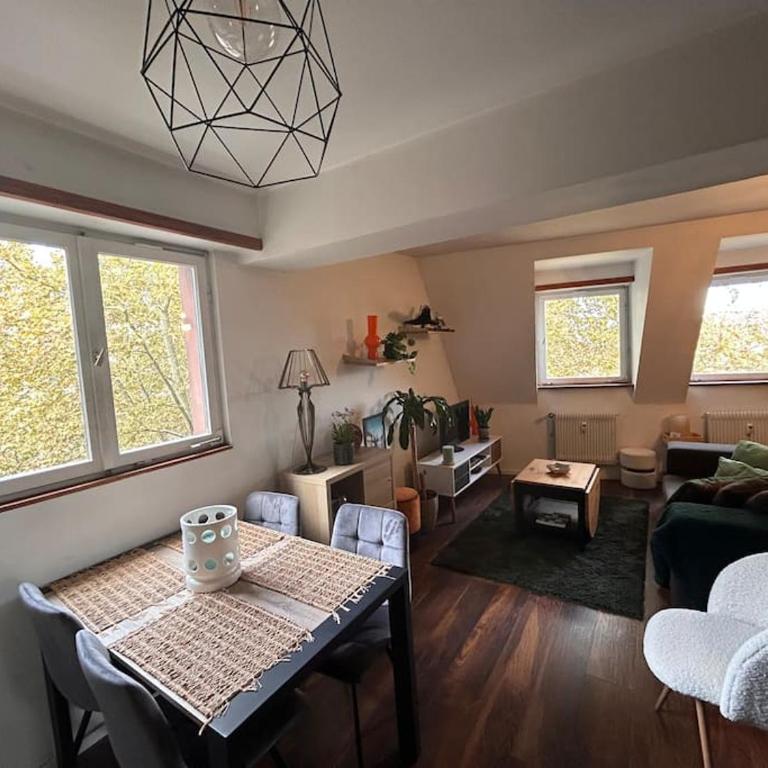 Appartement carré or Strasbourg - Appartamento con 1 Camera da Letto - 3
