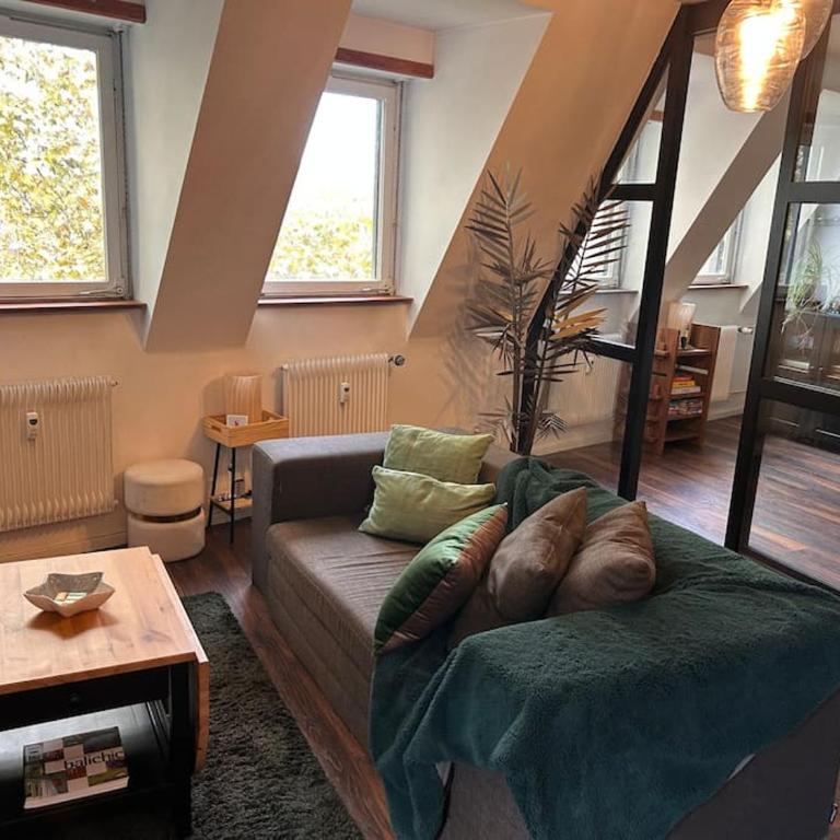 Appartement carré or Strasbourg - Appartamento con 1 Camera da Letto - 10