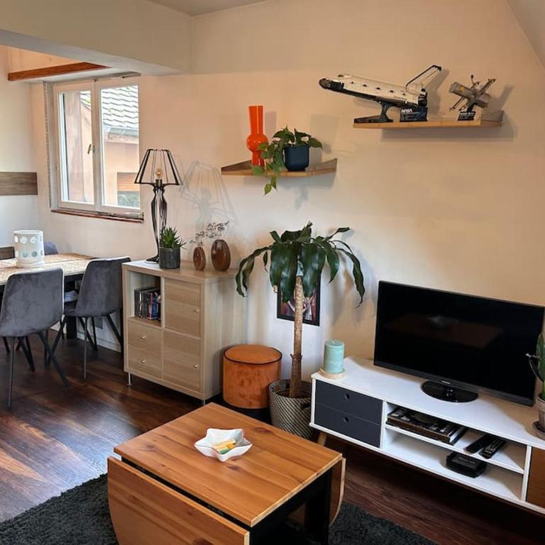 Appartement carré or Strasbourg - Appartamento con 1 Camera da Letto - 19