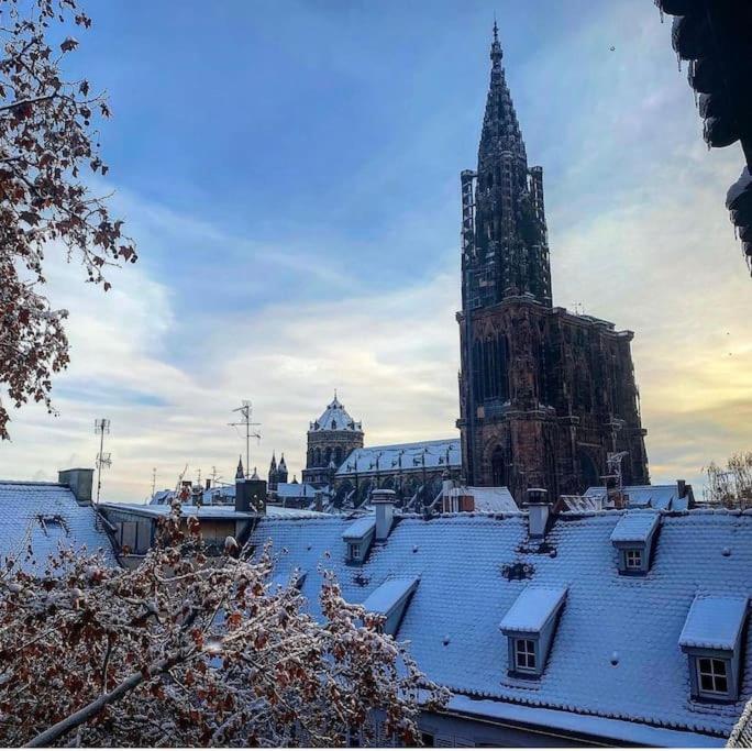 Appartement carré or Strasbourg - Appartamento con 1 Camera da Letto - 20