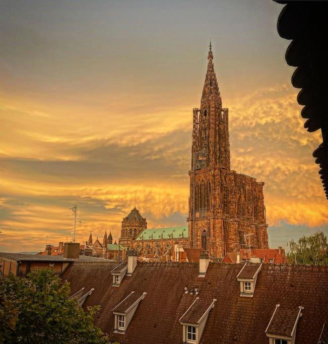 Appartement carré or Strasbourg - Appartamento con 1 Camera da Letto - 21