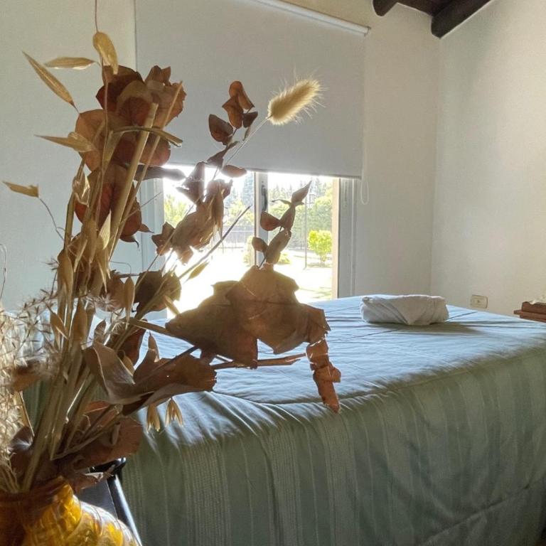 Casa por los caminos del vino - Casa de 2 dormitorios - 17