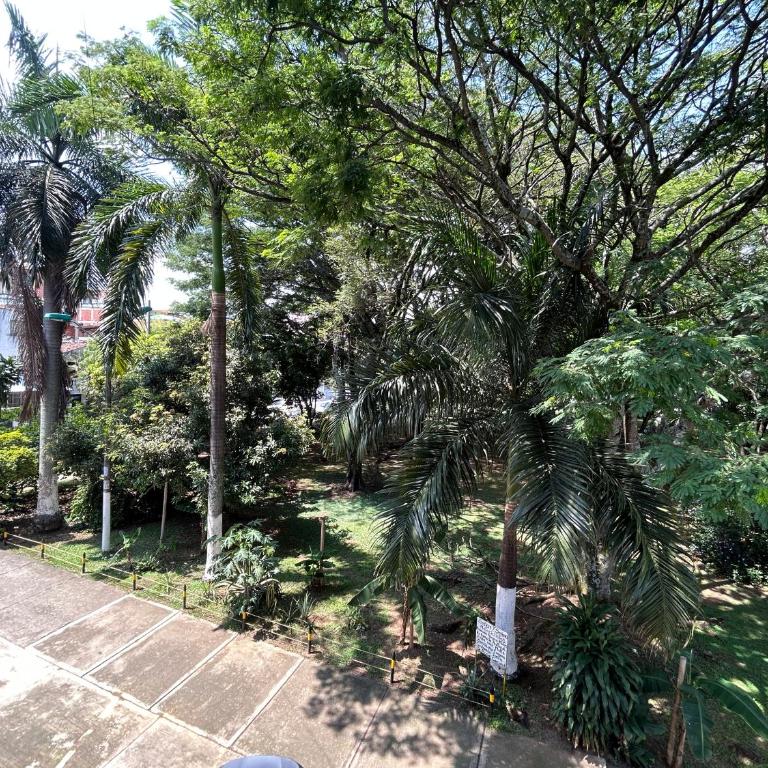 Edificio Arrecife - One-Bedroom Apartment - 4