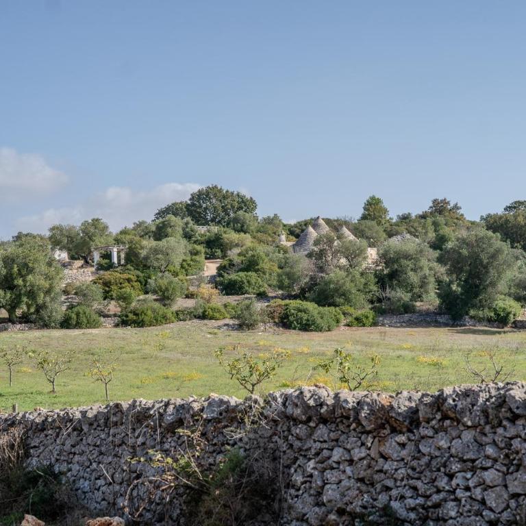 Villa tra gli Ulivi - Ostuni - Two-Bedroom Villa - 24