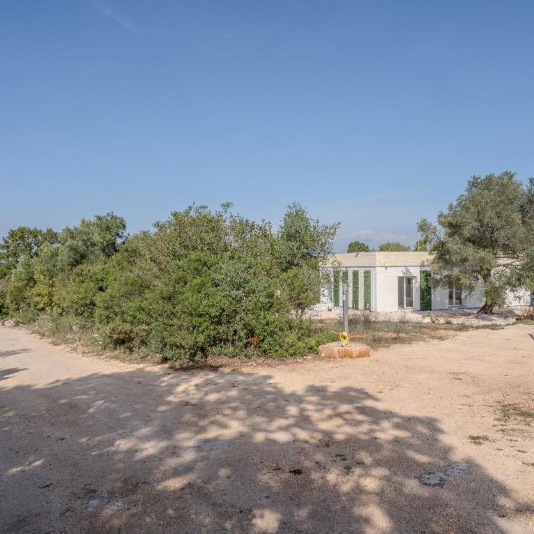 Villa tra gli Ulivi - Ostuni - Two-Bedroom Villa - 17